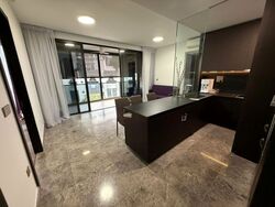 Hyll On Holland (D10), Condominium #608189601